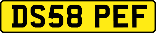 DS58PEF