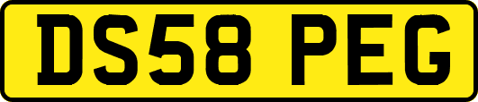 DS58PEG