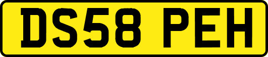 DS58PEH