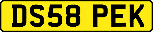 DS58PEK