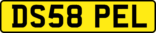 DS58PEL