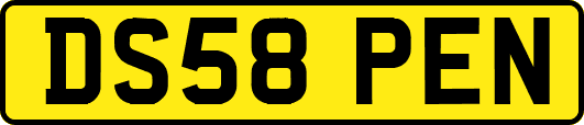 DS58PEN