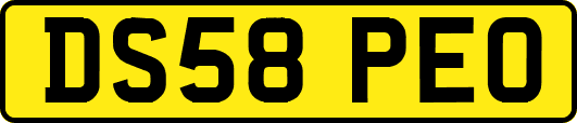 DS58PEO