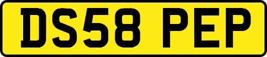 DS58PEP