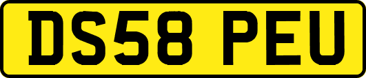 DS58PEU