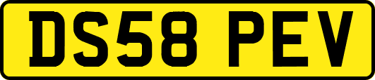 DS58PEV