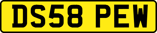 DS58PEW
