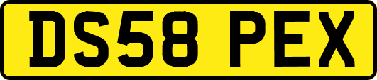 DS58PEX