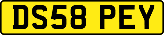 DS58PEY