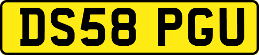 DS58PGU