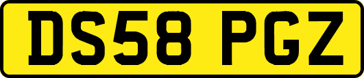 DS58PGZ