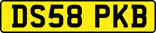 DS58PKB