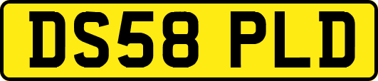DS58PLD