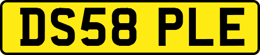 DS58PLE