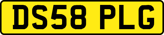DS58PLG