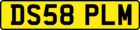 DS58PLM