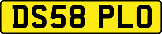 DS58PLO