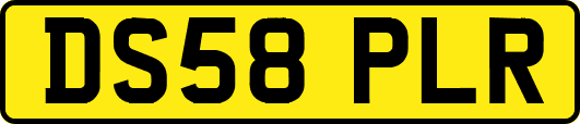 DS58PLR