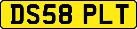 DS58PLT