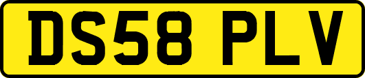 DS58PLV