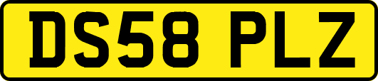 DS58PLZ