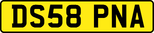 DS58PNA