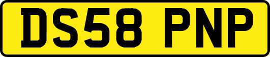 DS58PNP