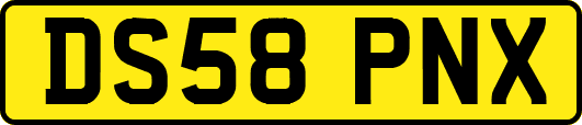 DS58PNX