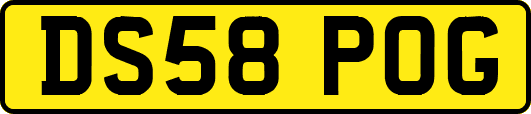 DS58POG