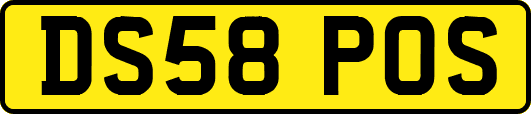 DS58POS