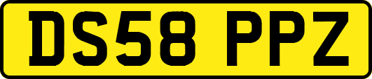 DS58PPZ