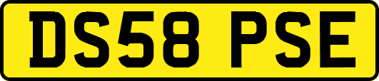 DS58PSE