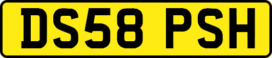 DS58PSH