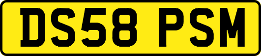 DS58PSM