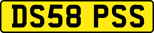 DS58PSS