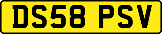 DS58PSV