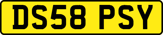 DS58PSY