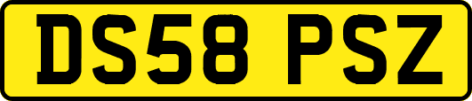 DS58PSZ