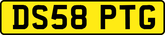 DS58PTG