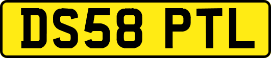 DS58PTL