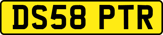 DS58PTR