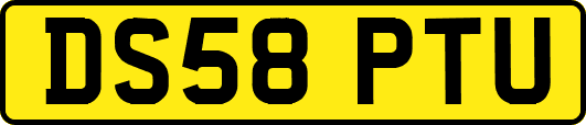 DS58PTU