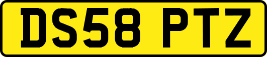 DS58PTZ