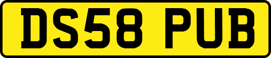 DS58PUB