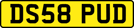 DS58PUD