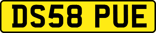 DS58PUE