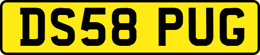 DS58PUG