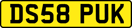 DS58PUK