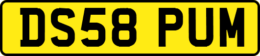 DS58PUM