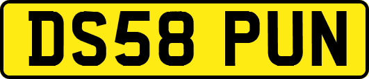 DS58PUN